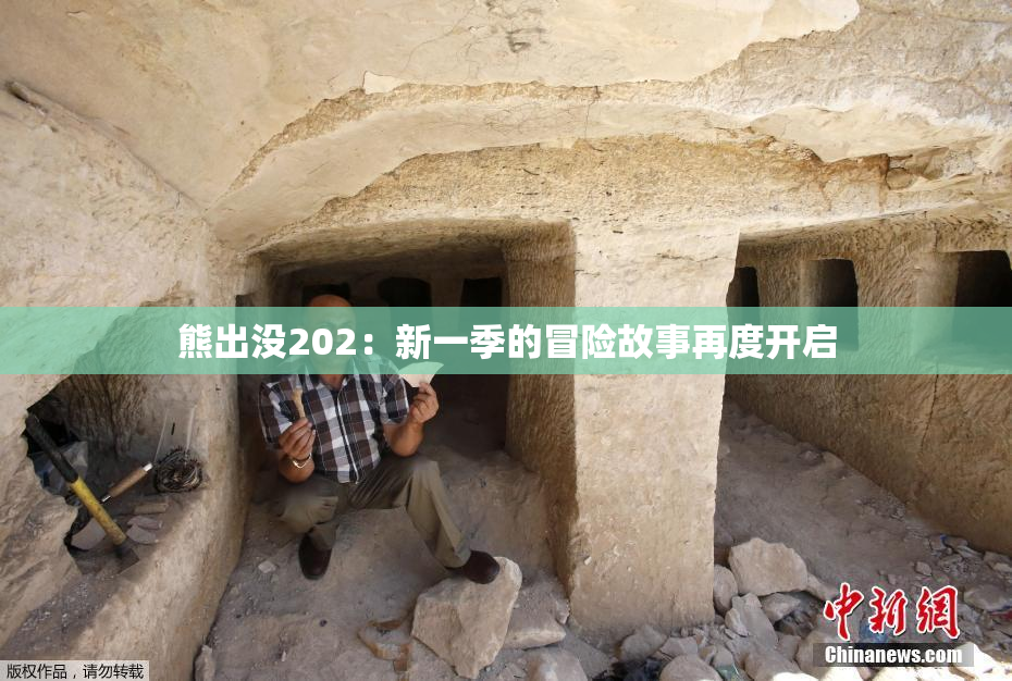 熊出没202：新一季的冒险故事再度开启