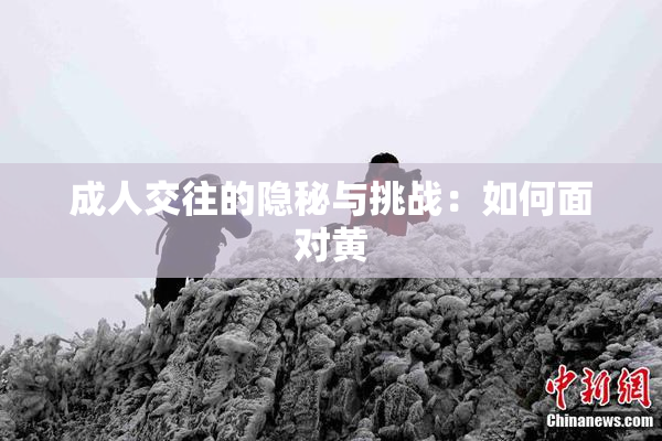成人交往的隐秘与挑战：如何面对黄