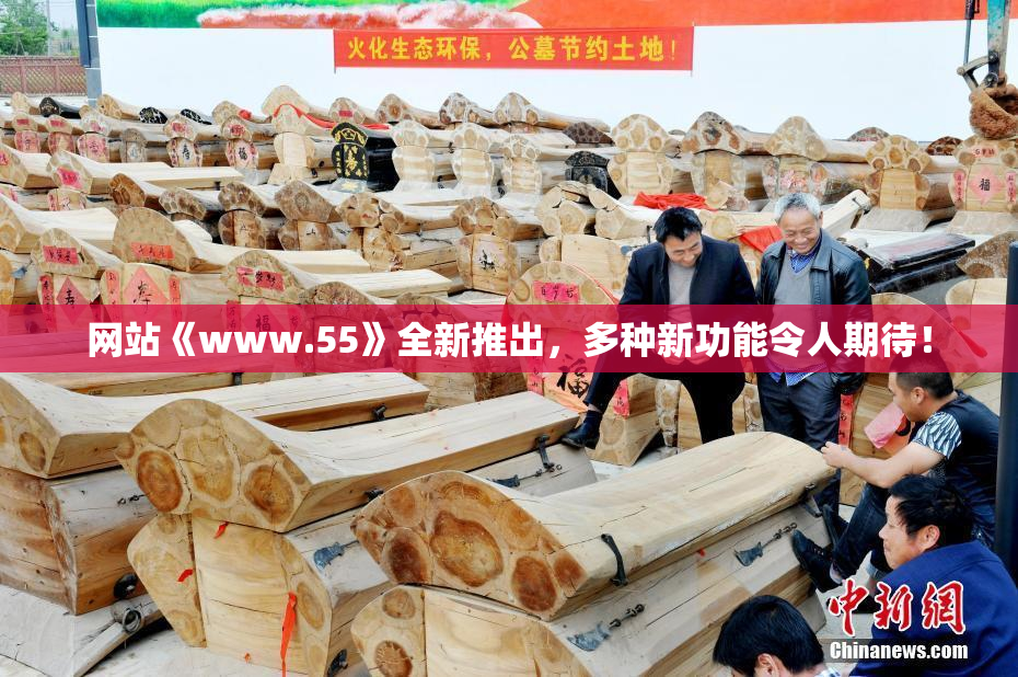 网站《www.55》全新推出，多种新功能令人期待！