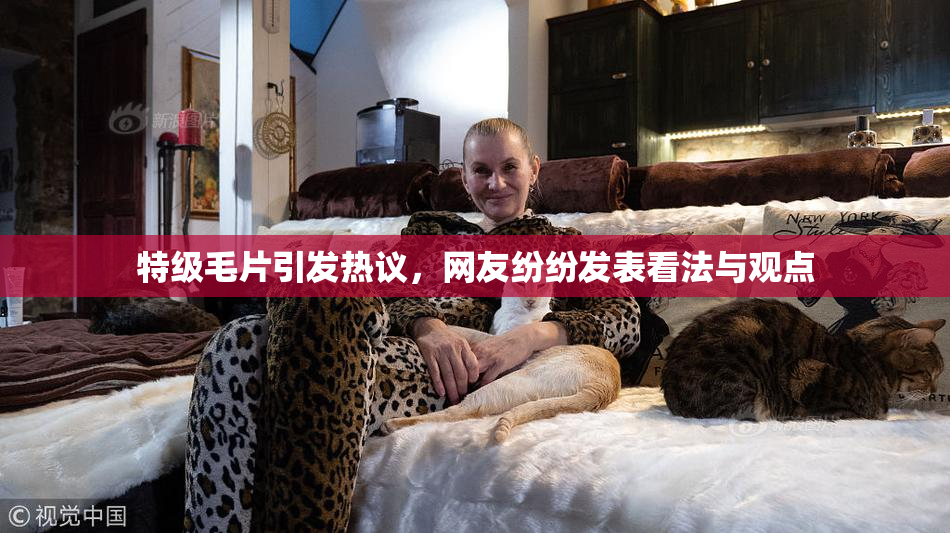 特级毛片引发热议，网友纷纷发表看法与观点