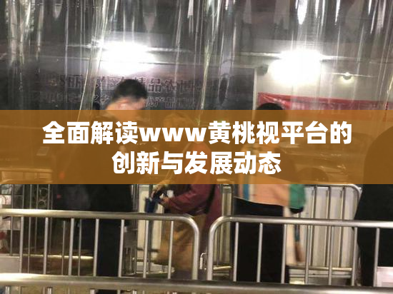 全面解读www黄桃视平台的创新与发展动态