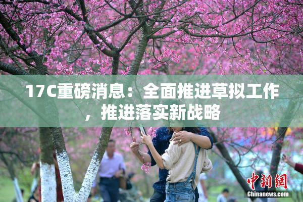 17C重磅消息：全面推进草拟工作，推进落实新战略