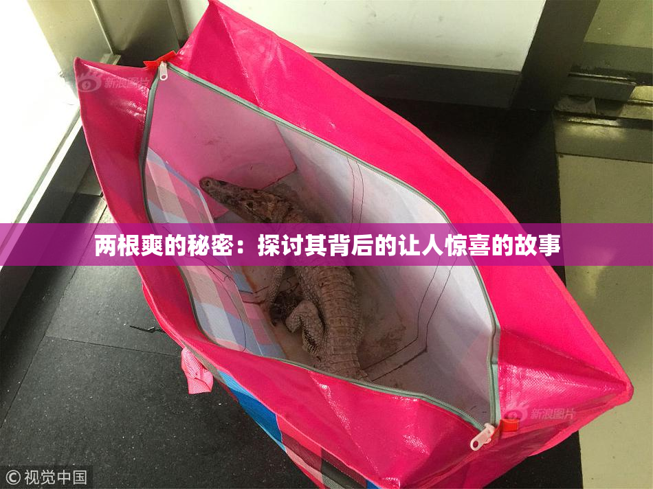 两根爽的秘密：探讨其背后的让人惊喜的故事
