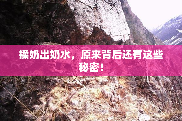 揉奶出奶水，原来背后还有这些秘密！