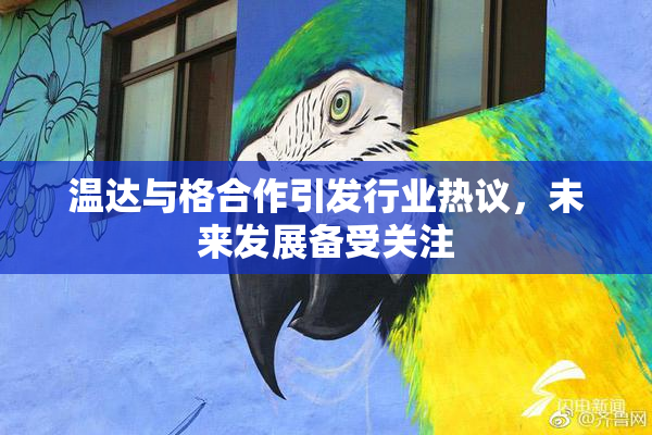 温达与格合作引发行业热议，未来发展备受关注