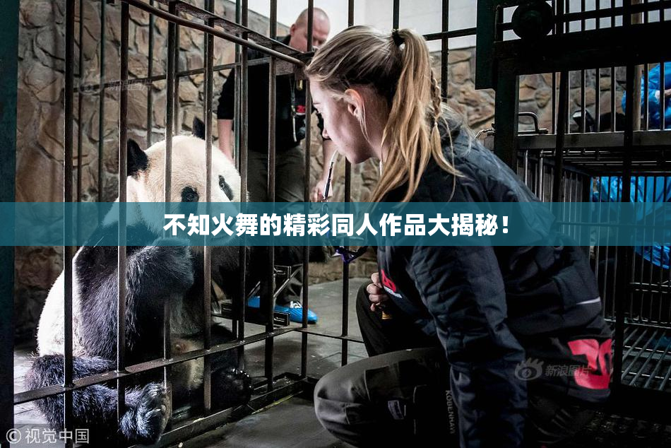 不知火舞的精彩同人作品大揭秘！