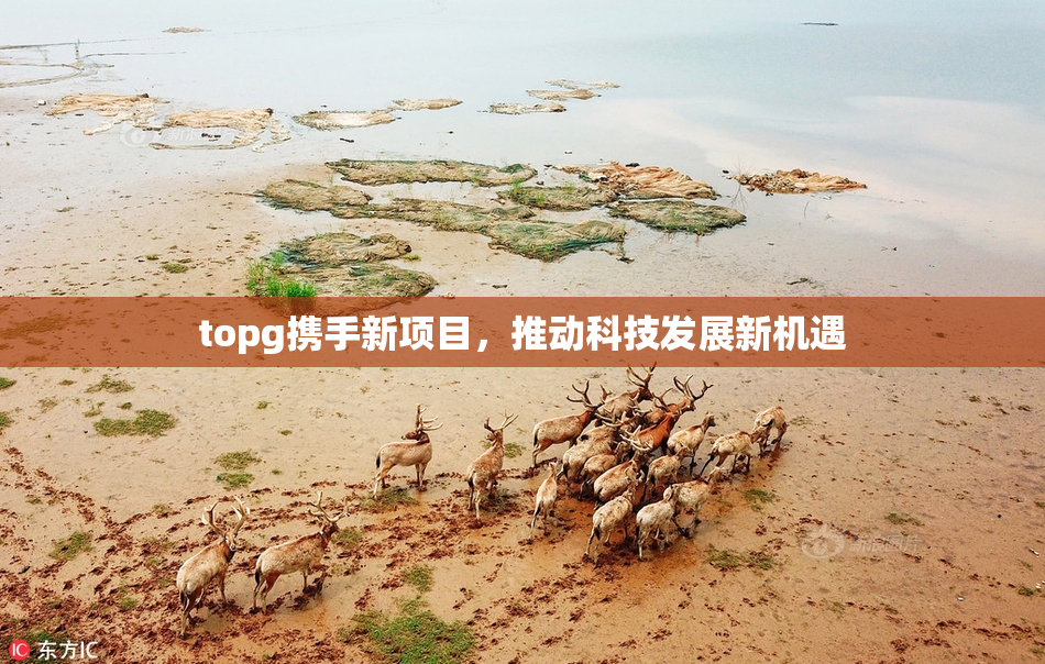 topg携手新项目，推动科技发展新机遇