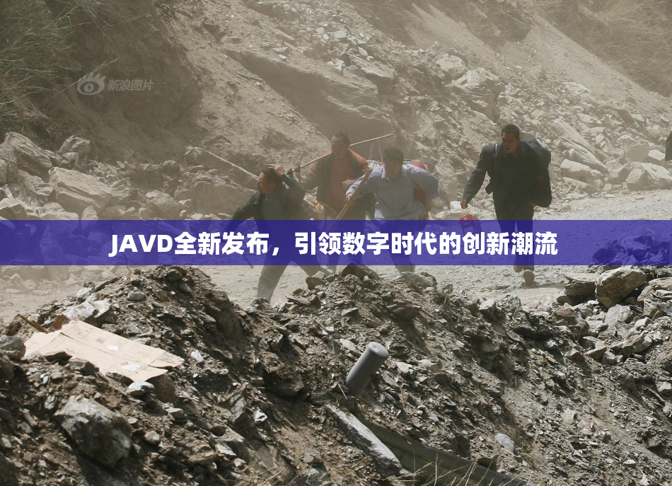 JAVD全新发布，引领数字时代的创新潮流