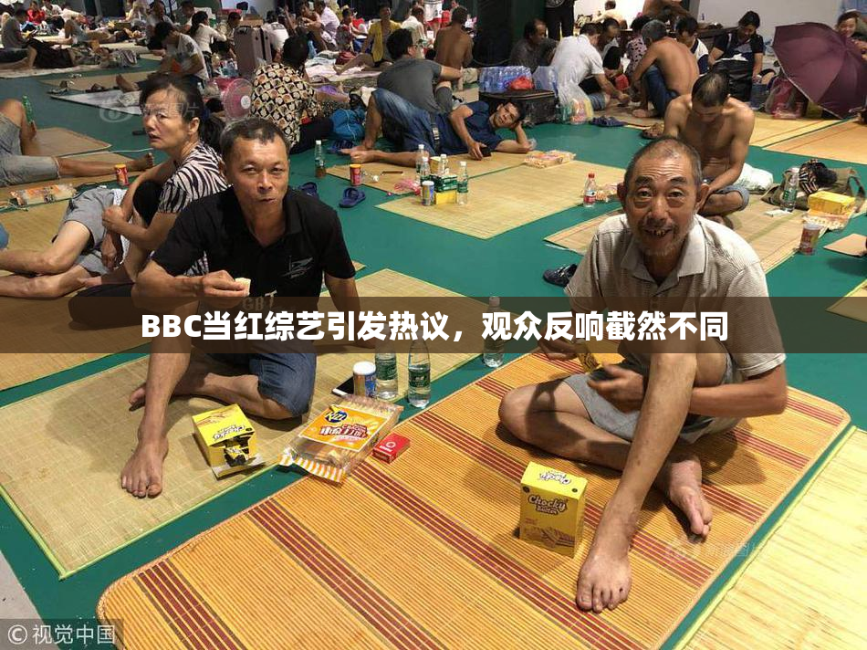 BBC当红综艺引发热议，观众反响截然不同