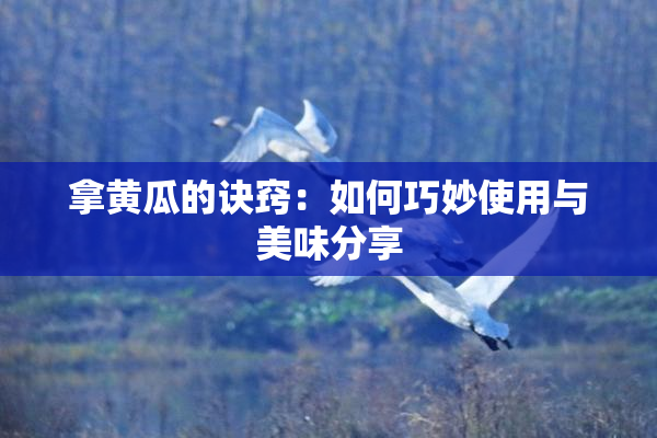 拿黄瓜的诀窍：如何巧妙使用与美味分享