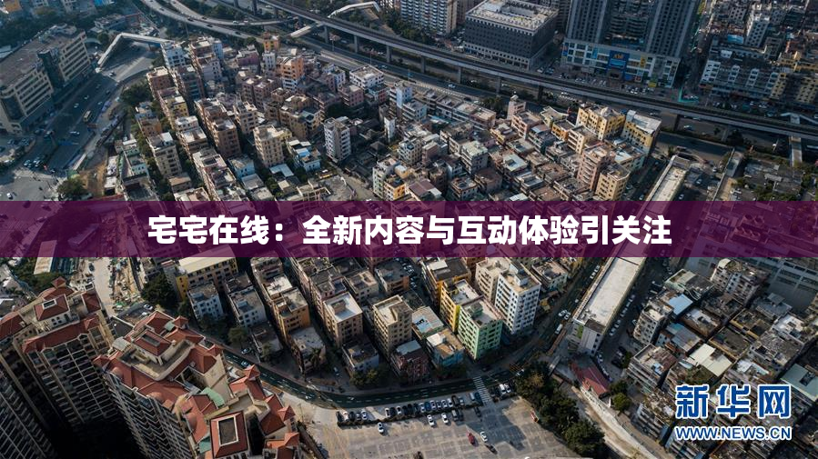 宅宅在线：全新内容与互动体验引关注