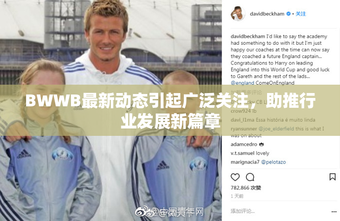 BWWB最新动态引起广泛关注，助推行业发展新篇章