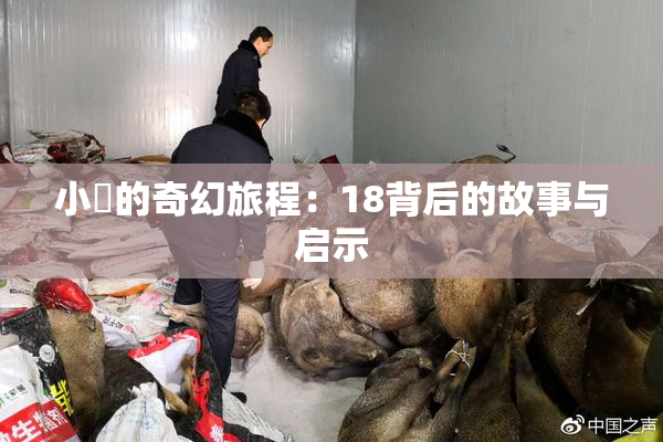 小泬的奇幻旅程：18背后的故事与启示