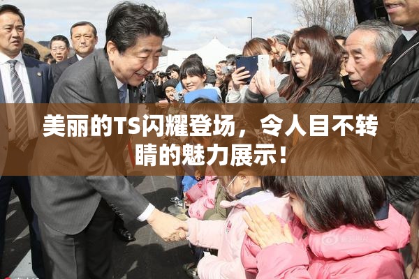 美丽的TS闪耀登场，令人目不转睛的魅力展示！