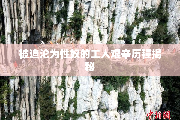 被迫沦为性奴的工人艰辛历程揭秘
