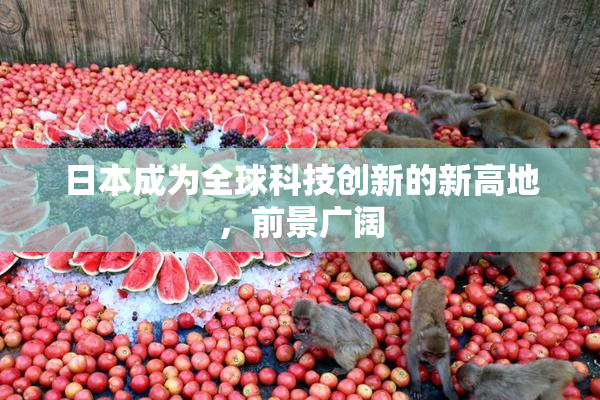 日本成为全球科技创新的新高地，前景广阔