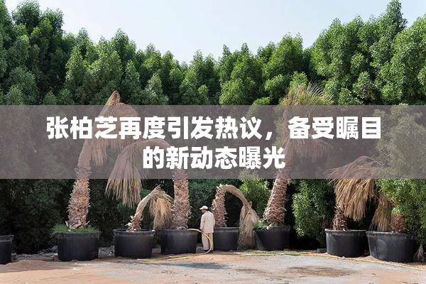 张柏芝再度引发热议，备受瞩目的新动态曝光