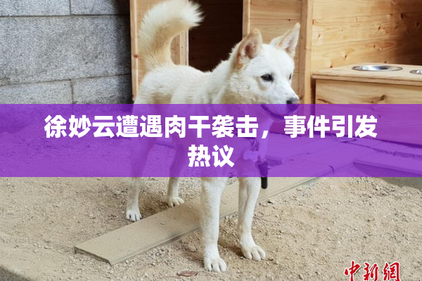 徐妙云遭遇肉干袭击，事件引发热议