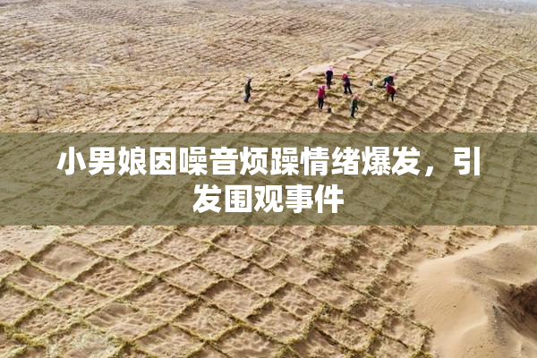 小男娘因噪音烦躁情绪爆发，引发围观事件