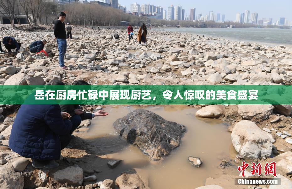 岳在厨房忙碌中展现厨艺，令人惊叹的美食盛宴