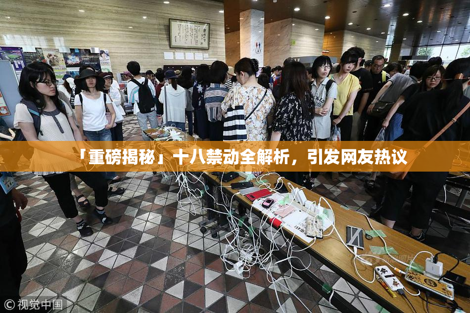 「重磅揭秘」十八禁动全解析，引发网友热议
