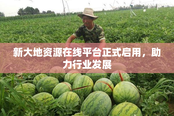 新大地资源在线平台正式启用，助力行业发展