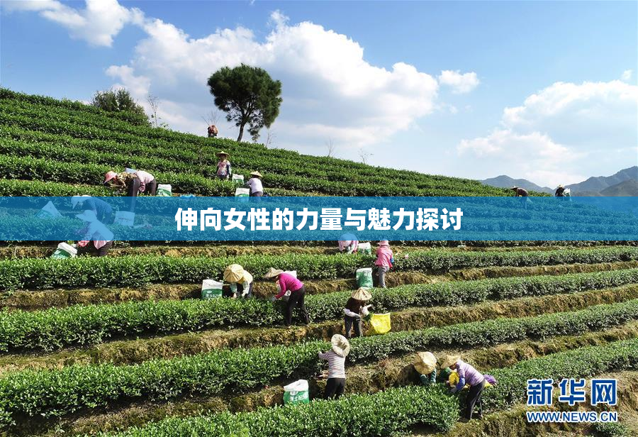 伸向女性的力量与魅力探讨