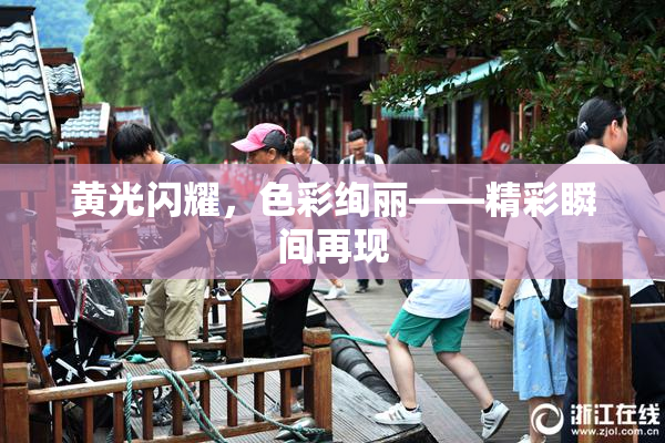 黄光闪耀，色彩绚丽——精彩瞬间再现