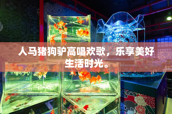 人马猪狗驴高唱欢歌，乐享美好生活时光。