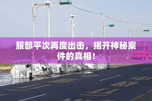 服部平次再度出击，揭开神秘案件的真相！
