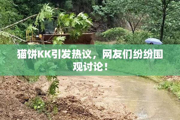 猫饼KK引发热议，网友们纷纷围观讨论！