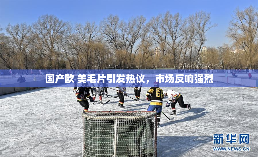 国产欧 美毛片引发热议，市场反响强烈