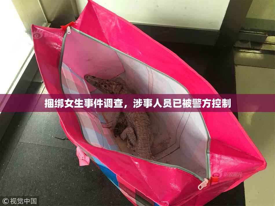 捆绑女生事件调查，涉事人员已被警方控制