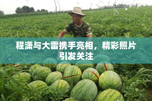 程潇与大雷携手亮相，精彩照片引发关注
