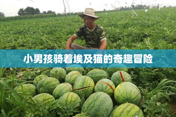 小男孩骑着埃及猫的奇趣冒险