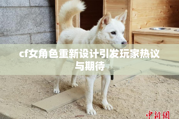 cf女角色重新设计引发玩家热议与期待