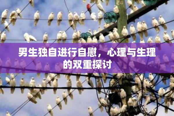 男生独自进行自慰，心理与生理的双重探讨