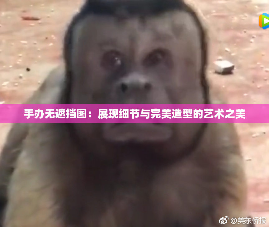 手办无遮挡图：展现细节与完美造型的艺术之美