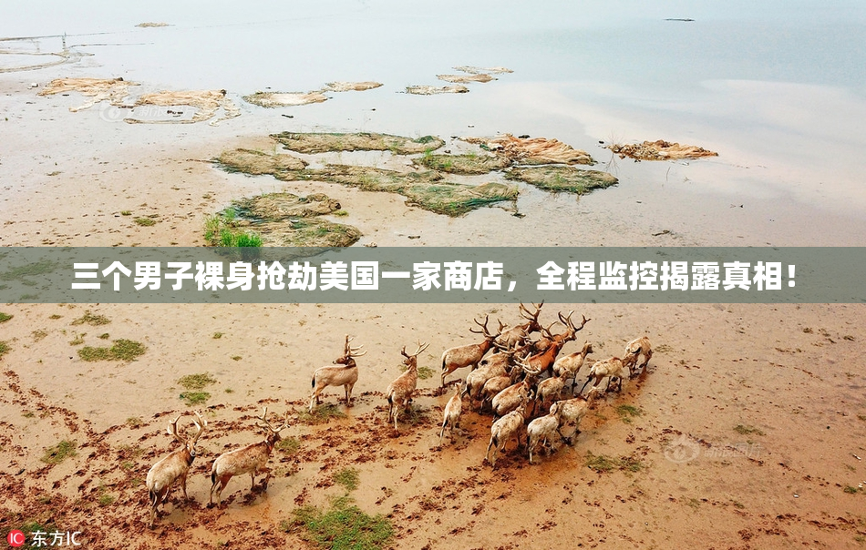 三个男子裸身抢劫美国一家商店，全程监控揭露真相！