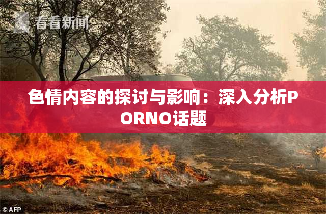 色情内容的探讨与影响：深入分析PORNO话题