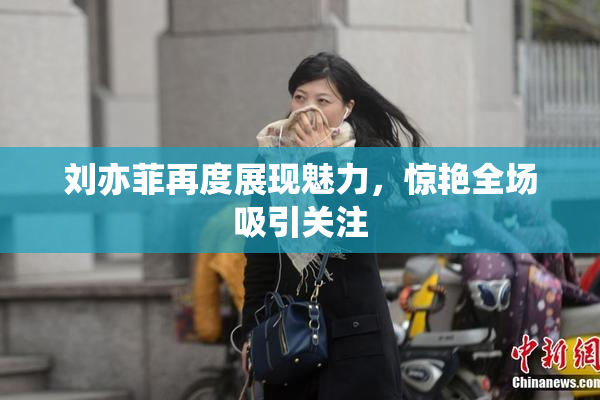 刘亦菲再度展现魅力，惊艳全场吸引关注