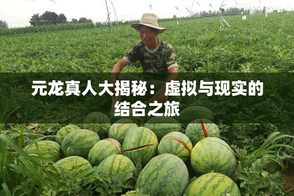 元龙真人大揭秘：虚拟与现实的结合之旅