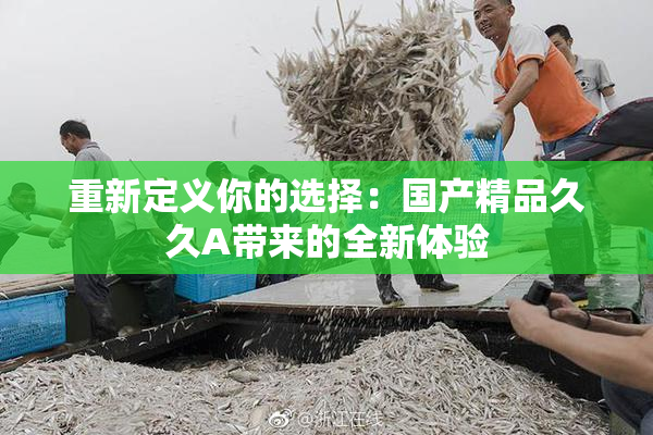重新定义你的选择：国产精品久久A带来的全新体验