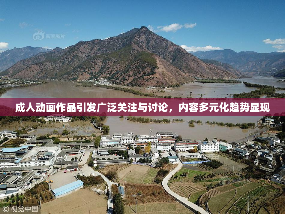 成人动画作品引发广泛关注与讨论，内容多元化趋势显现