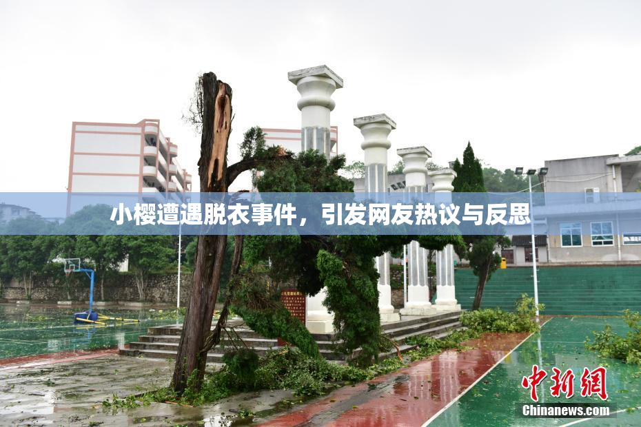 小樱遭遇脱衣事件，引发网友热议与反思