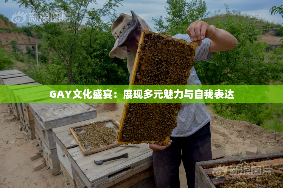 GAY文化盛宴：展现多元魅力与自我表达