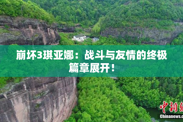 崩坏3琪亚娜：战斗与友情的终极篇章展开！