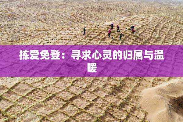 拣爱免登：寻求心灵的归属与温暖