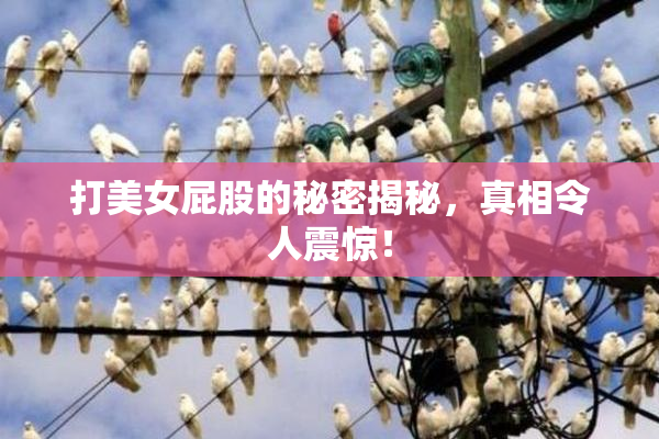 打美女屁股的秘密揭秘，真相令人震惊！