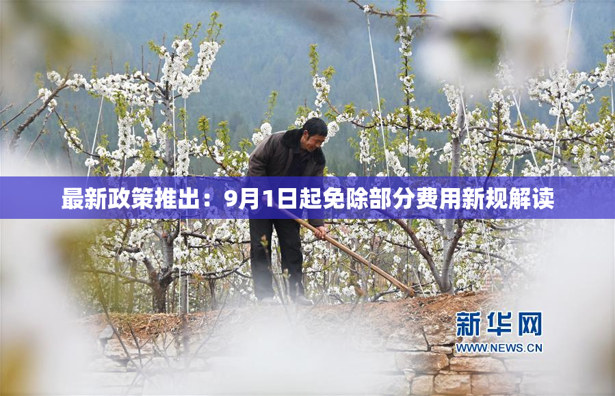 最新政策推出：9月1日起免除部分费用新规解读